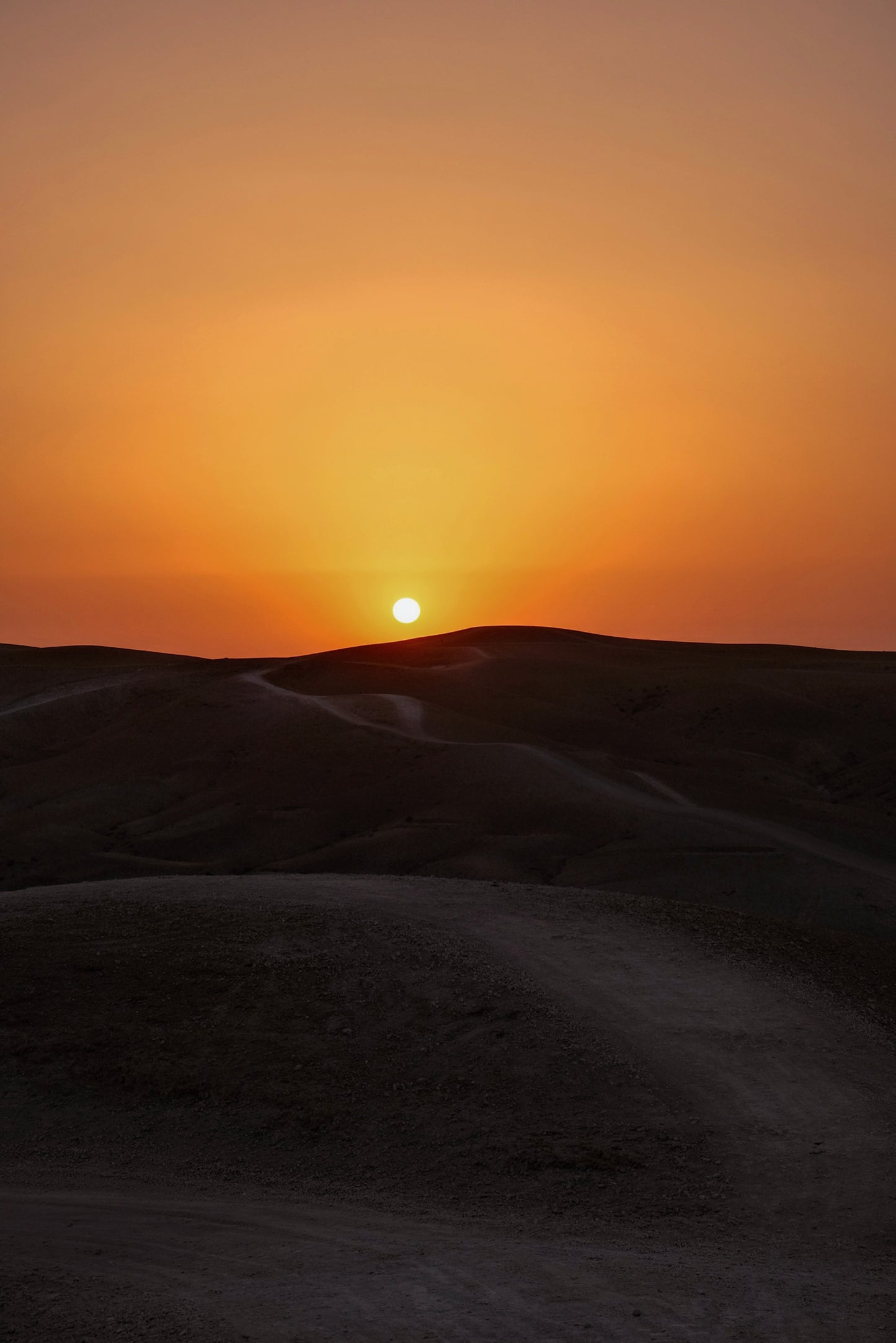 Oracle of the Stars Women's Moroccan Desert Retreat 2026