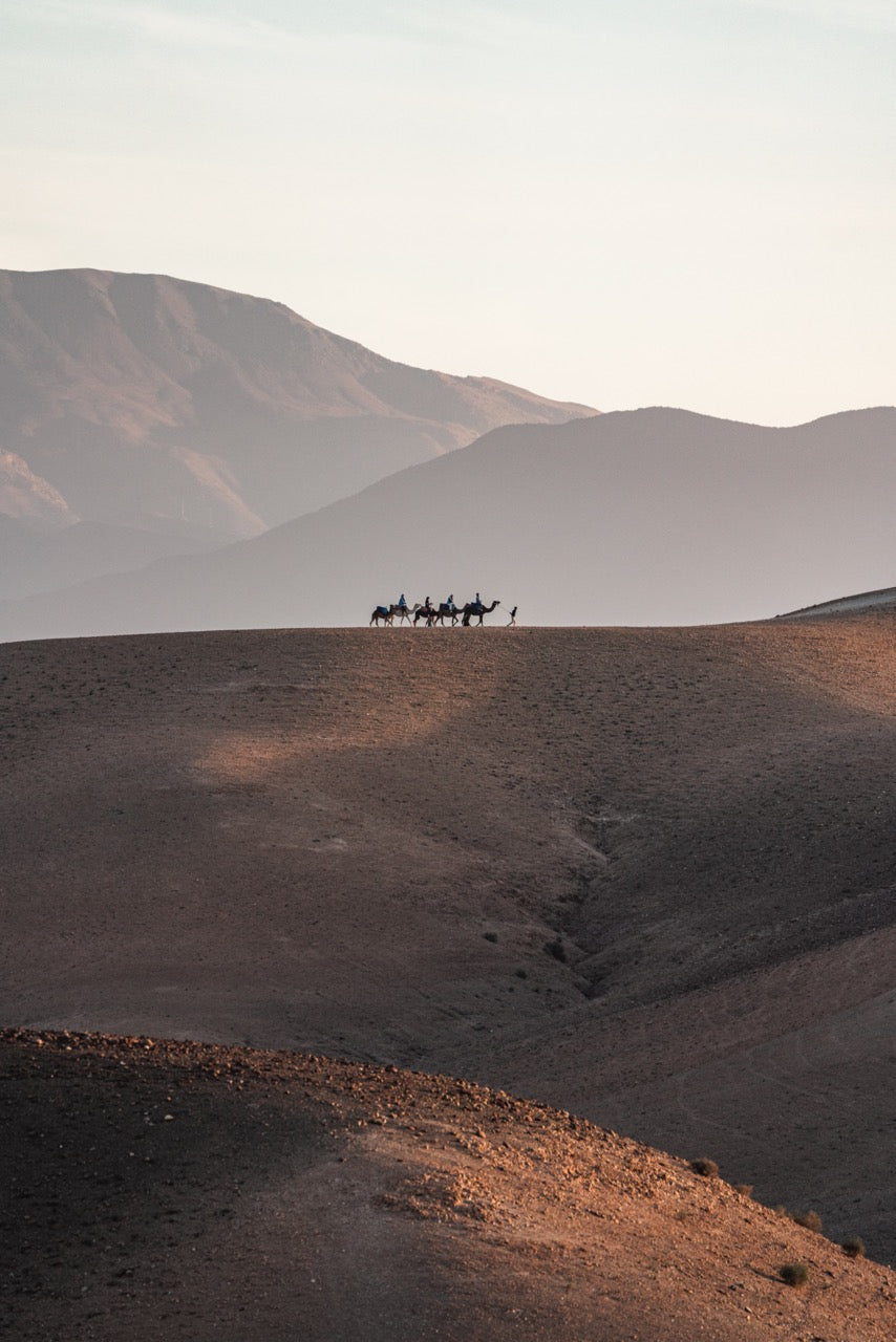Oracle of the Stars Women's Moroccan Desert Retreat 2026